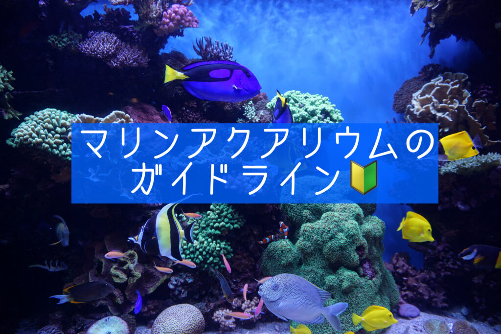 マリンアクアリウムのガイドライン🔰 | 海を創る外科医