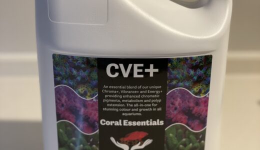 水槽日記　Coral essentials の新商品を導入🙆‍♂️